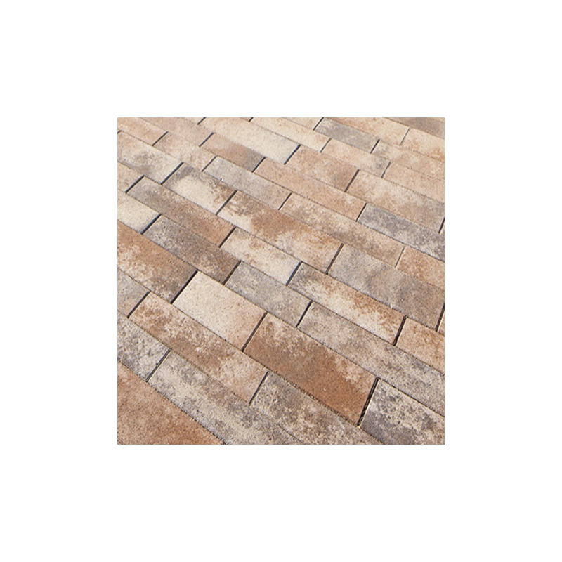 504 kronimus pave barretto coloris 3