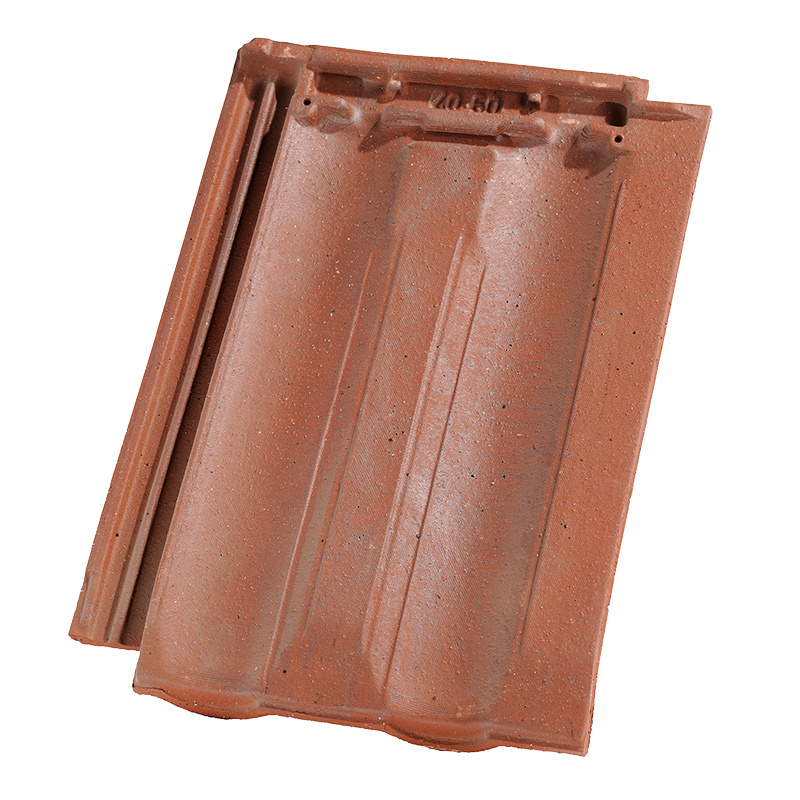 Standard 9 / jacob 7