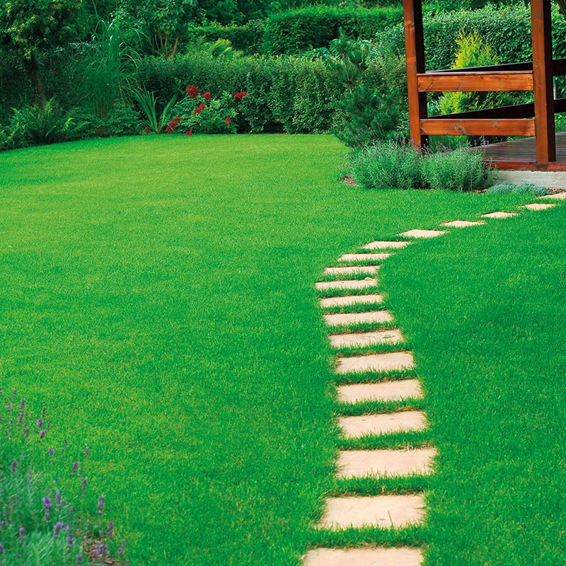 Gazon synthétique sur-mesure Cambridge Green Avenue 5