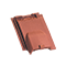 Arboise écaille / jacob 2