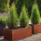 Bacs corten avec fond Sepa