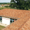 Gallo-romane 1