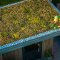 Accessoires Greenlift pour GRF Plus