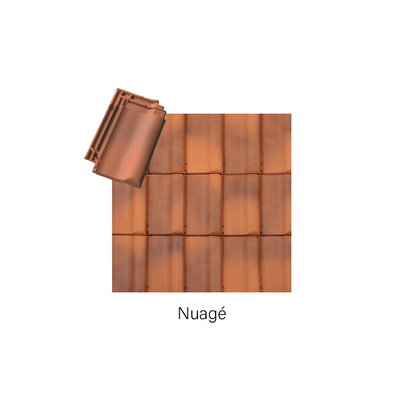 Tuile Panne et Panne TFP - Nuage