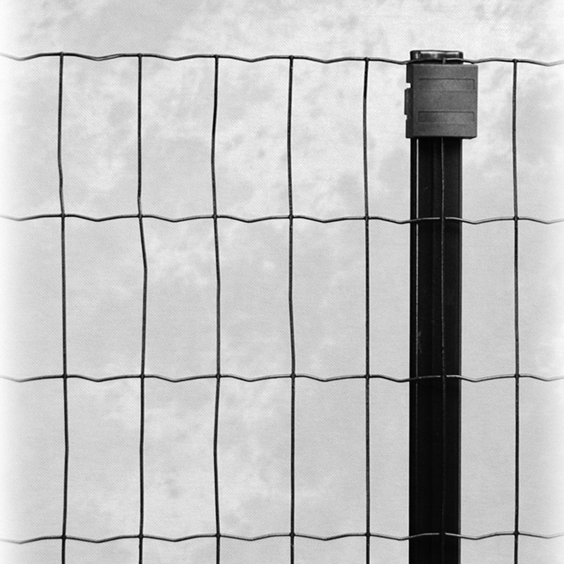 Clôture soudée en rouleaux résidentielle 4