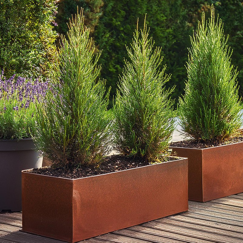 Bacs corten avec fond Sepa
