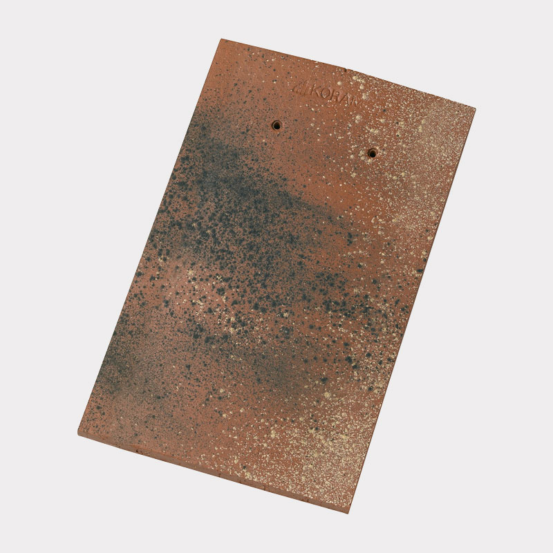 Tuiles Tempo - Champagne