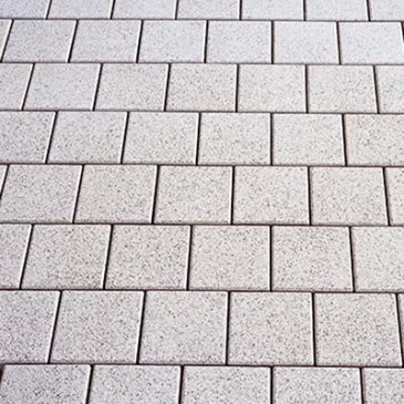 Paves Pasero Kronimus