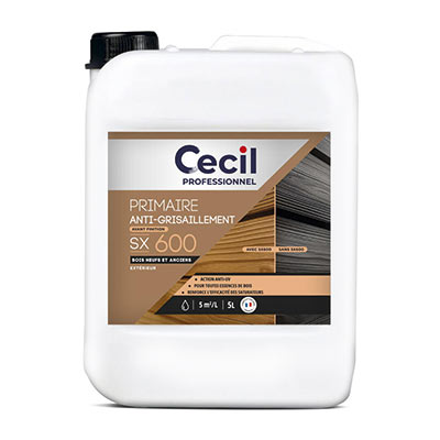 Primaire anti-grisaillement SX600 Cecil Pro
