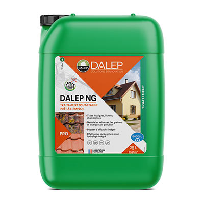 bois charpente traitement dalep ng de dalep