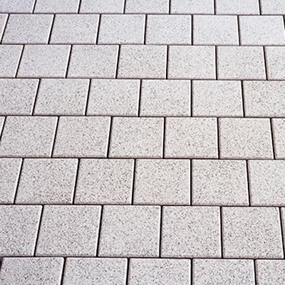 Paves Pasero Kronimus