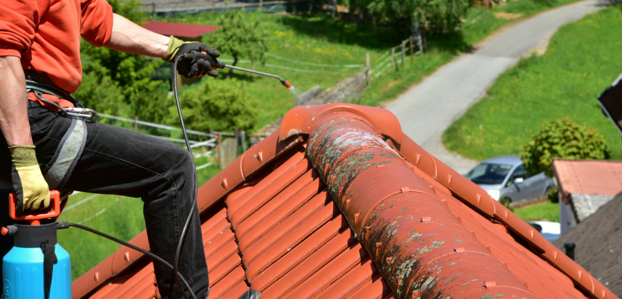 Les causes de la prolifération de mousse